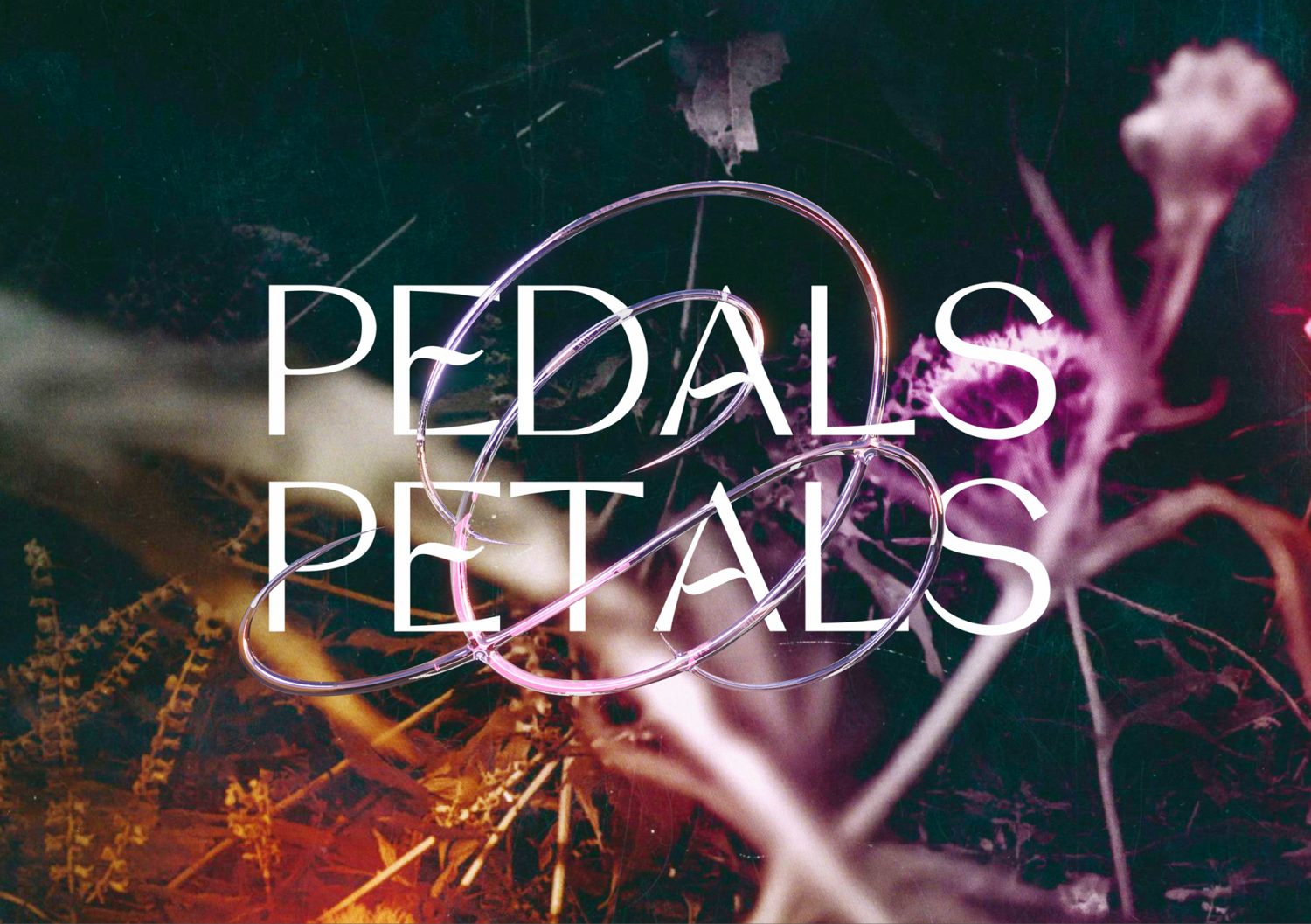 Pedals & Petals  