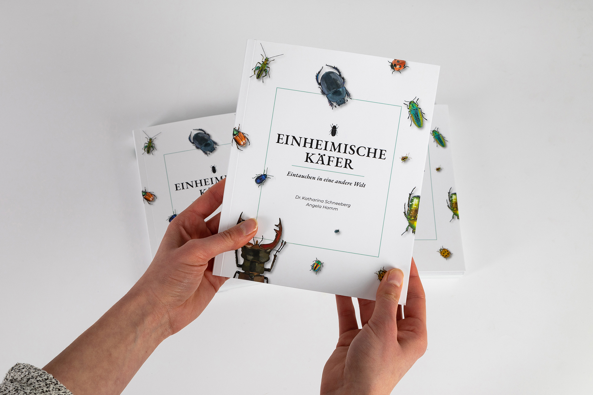 Einheimische Käfer Angela Hamm Call for Creatives